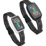 Cygnowear Smart GPS Dog Collar – App Connected