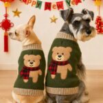 Cygnowear Sweater Knitted Shirt For Fall And Winter Season