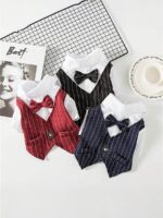 Cygnowear Dog Formal Wear