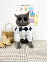 Cygnowear Dog Formal Wear - Image 3